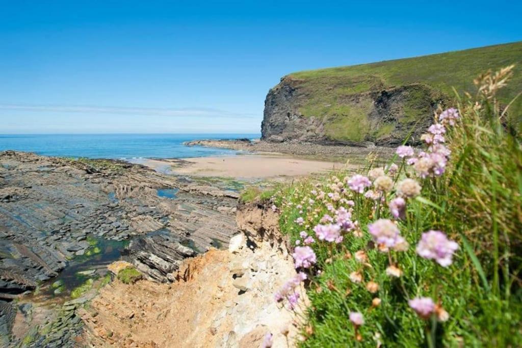 Kallowen Cottage At Crackington Haven, Near Bude And Boscastle, Cornwall 外观 照片