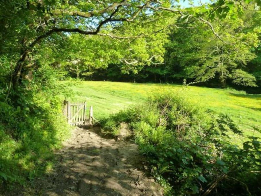 Kallowen Cottage At Crackington Haven, Near Bude And Boscastle, Cornwall 外观 照片